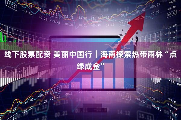 线下股票配资 美丽中国行｜海南探索热带雨林“点绿成金”